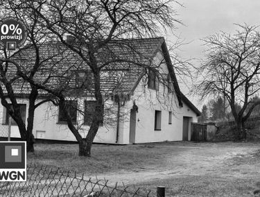 Zdjęcie 15583451