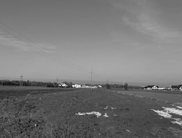 Zdjęcie 15583804