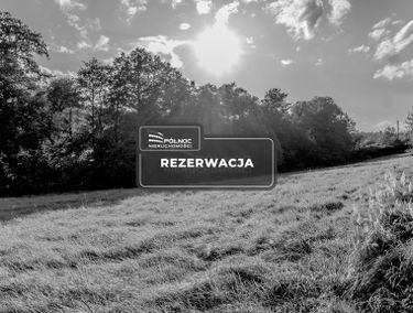 Zdjęcie 15584101