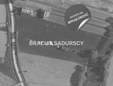 Zdjęcie 15584122