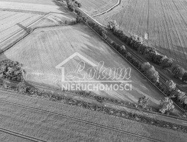 Zdjęcie 15584303