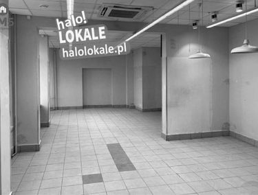 Zdjęcie 15584348