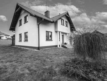 Zdjęcie 15584834