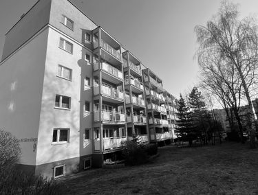 Zdjęcie 15584880