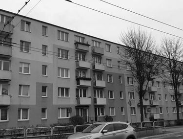 Zdjęcie 15585569