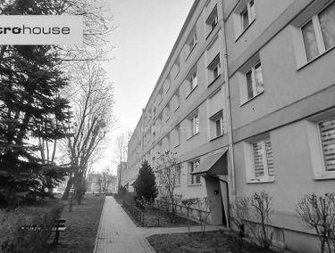 Zdjęcie 15587045