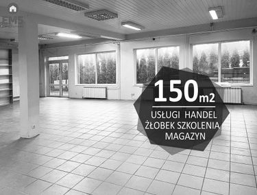 Zdjęcie 15587147