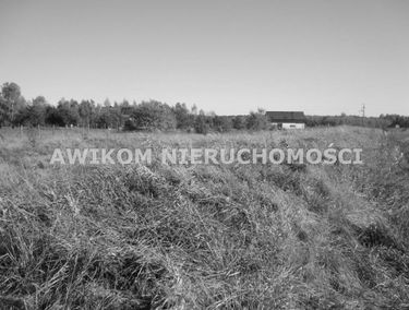 Zdjęcie 15587444