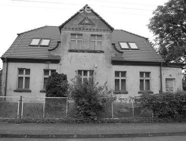 Zdjęcie 15587466