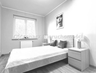 Zdjęcie 15588355