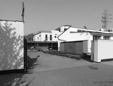 Zdjęcie 15588541