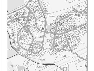 Zdjęcie 15588714