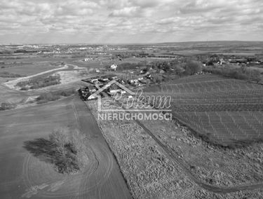 Zdjęcie 15589158