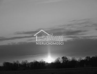 Zdjęcie 15590117
