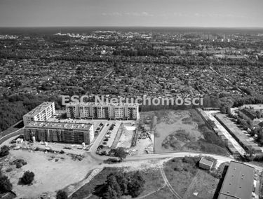 Zdjęcie 15590203