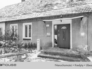 Zdjęcie 15590282