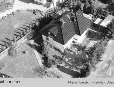 Zdjęcie 15590308