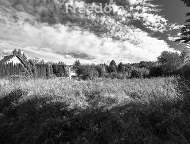 Zdjęcie 15590349