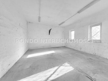 Zdjęcie 15590478