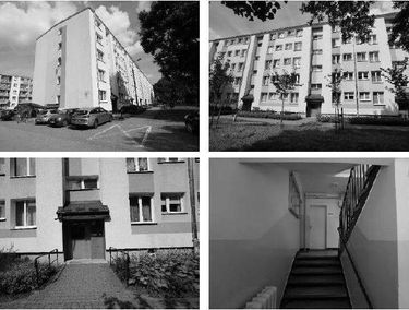 Zdjęcie 15591043