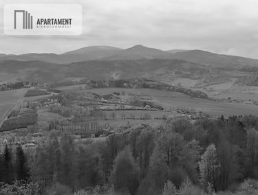 Zdjęcie 15591148