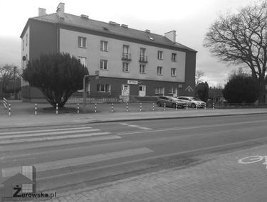 Zdjęcie 15591392