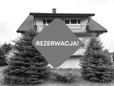 Zdjęcie 15593417