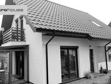 Zdjęcie 15593541
