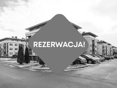 Zdjęcie 15593778