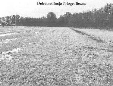 Zdjęcie 15593909