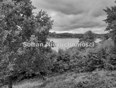 Zdjęcie 15594321