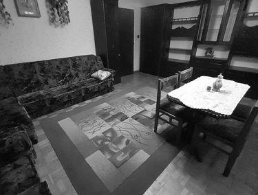 Zdjęcie 15594446