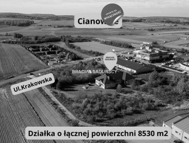 Zdjęcie 15595040