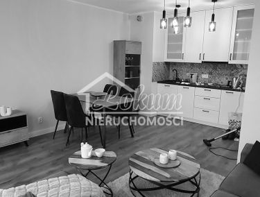 Zdjęcie 15595108