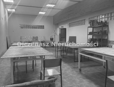 Zdjęcie 15595233