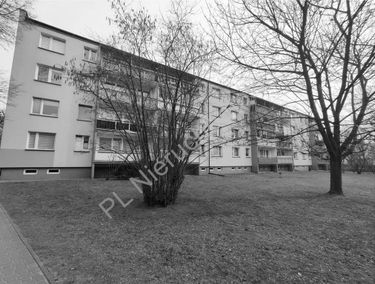 Zdjęcie 15595448