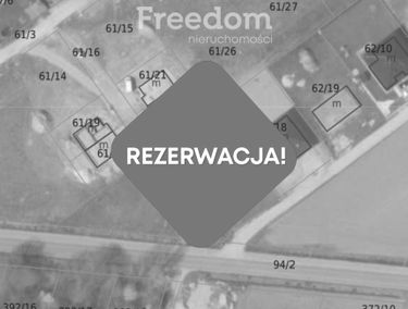 Zdjęcie 15595908