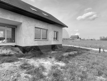 Zdjęcie 15596255