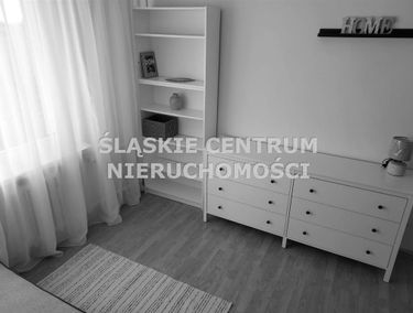 Zdjęcie 15597518