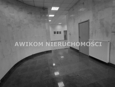 Zdjęcie 15597575
