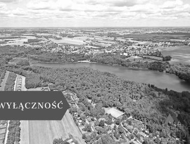Zdjęcie 15598196
