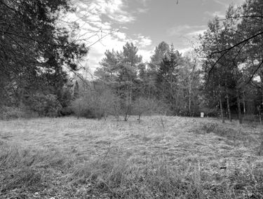 Zdjęcie 15598435