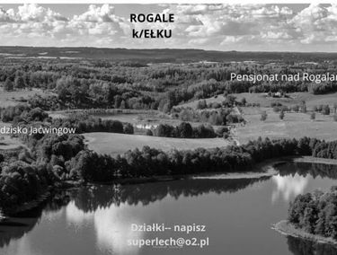 Zdjęcie 15599474