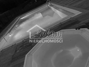 Zdjęcie 15600865