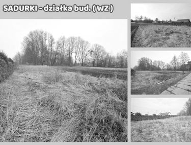 Zdjęcie 15601207