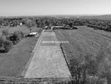 Zdjęcie 15601513