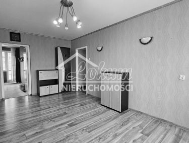 Zdjęcie 15601645
