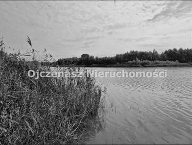 Zdjęcie 15602007
