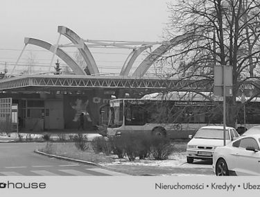 Zdjęcie 15602484