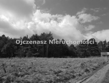 Zdjęcie 15602775